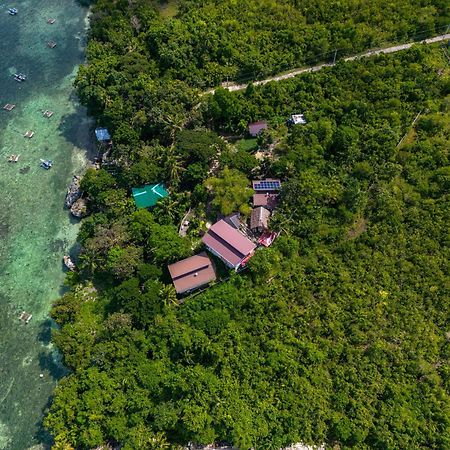 Weyh'S Studio #1 By The Ocean 100Mbps Panglao Extérieur photo