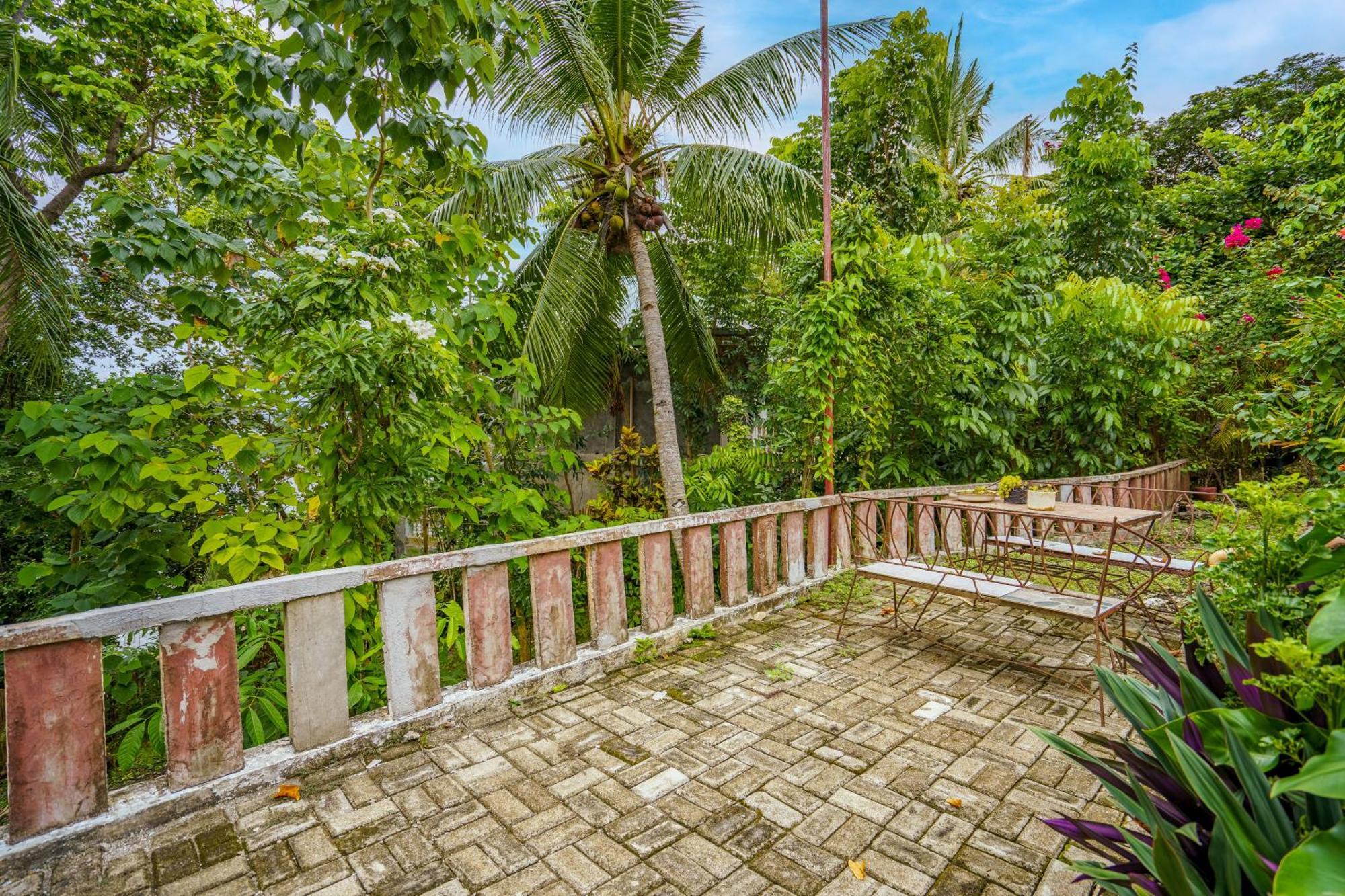 Weyh'S Studio #1 By The Ocean 100Mbps Panglao Extérieur photo