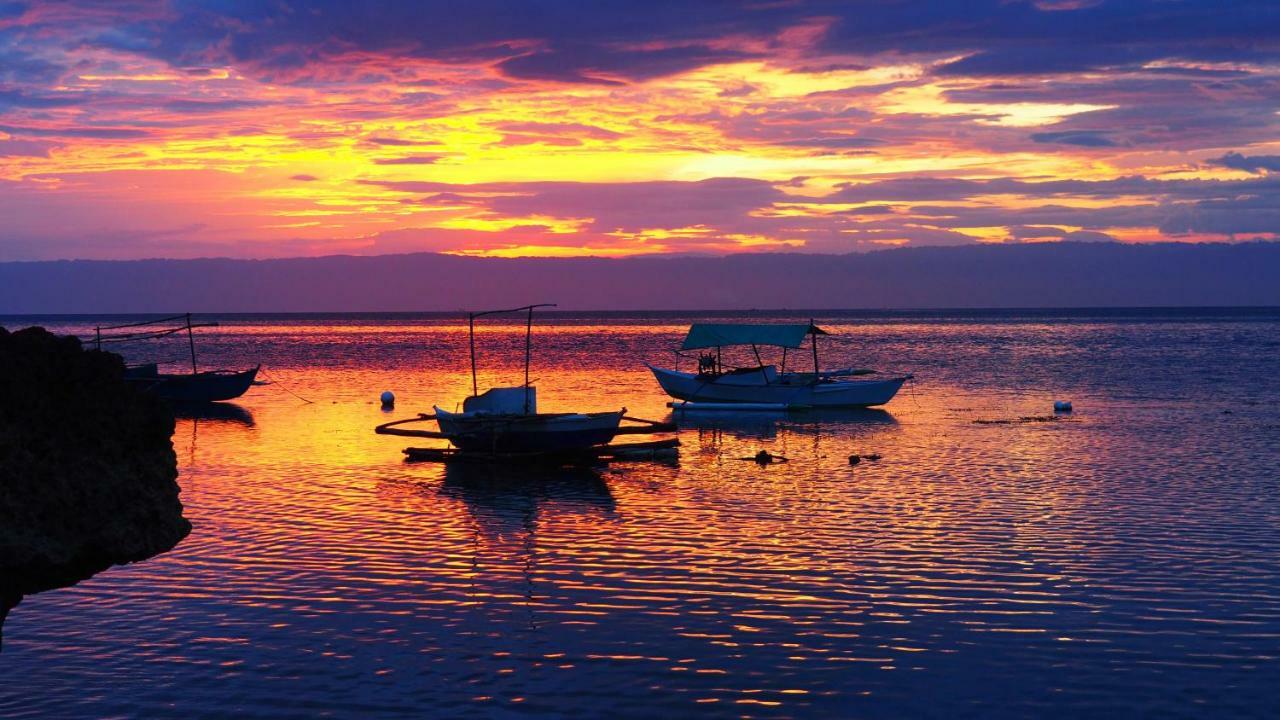Weyh'S Studio #1 By The Ocean 100Mbps Panglao Extérieur photo